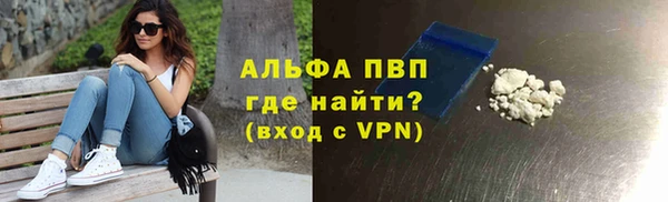 Альфа ПВП Пересвет