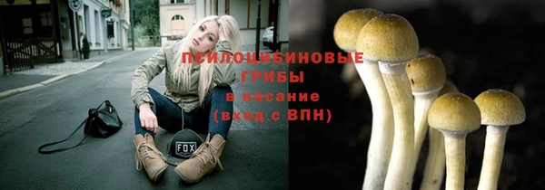 мет Абаза
