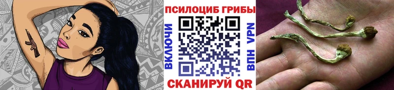 Галлюциногенные грибы прущие грибы  купить закладку  Дмитровск 