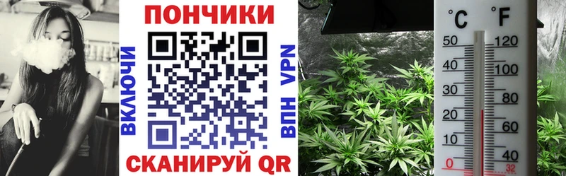Шишки марихуана сатива Дмитровск